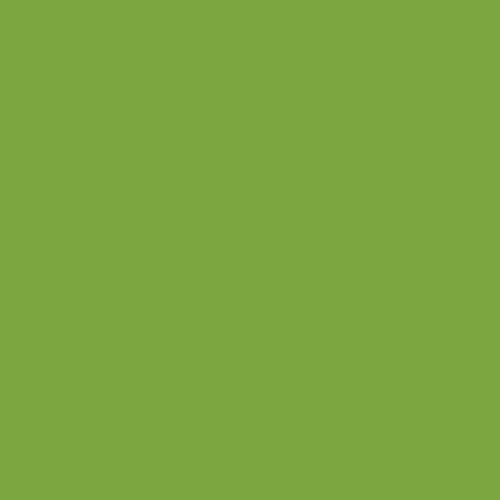 2029-30 Rosemary Green - Paint Color | South Bay Paints