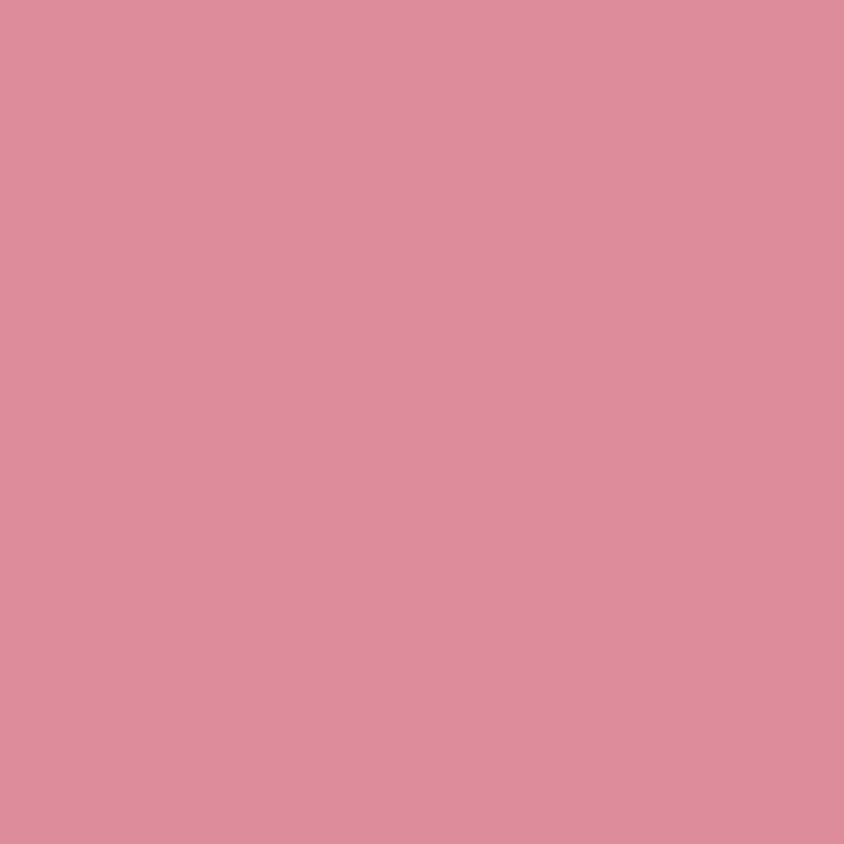 2081-40 Pink Blossom - Paint Color | South Bay Paints